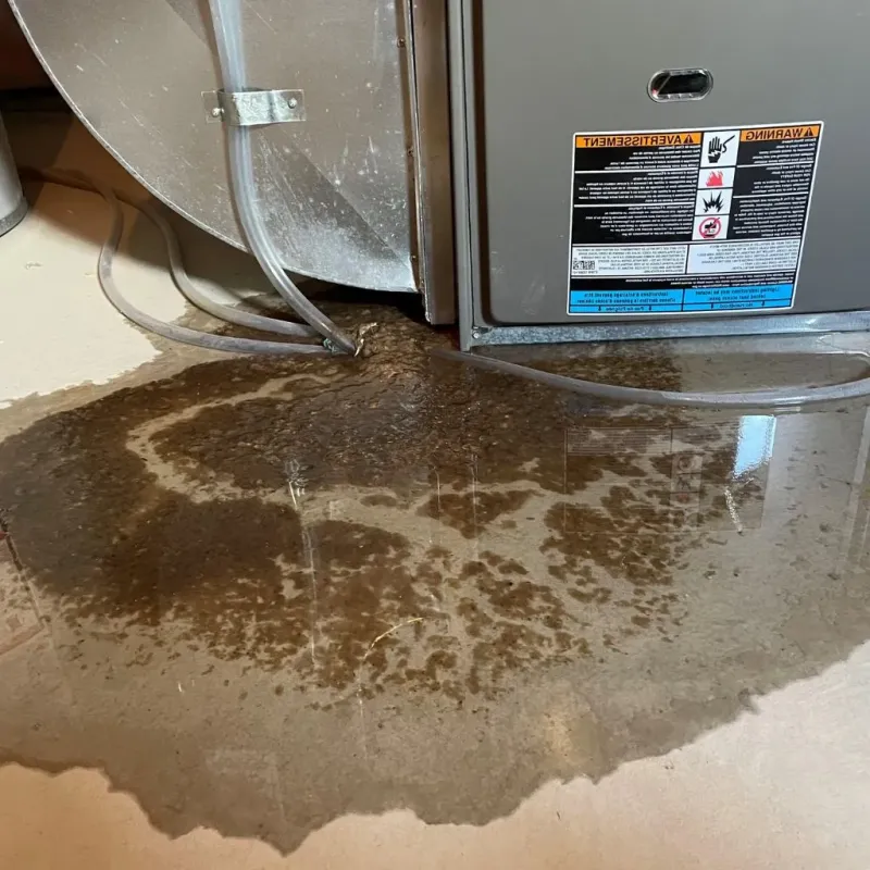 Pipe Burst and Leak Restoration in Pinckneyville, IL