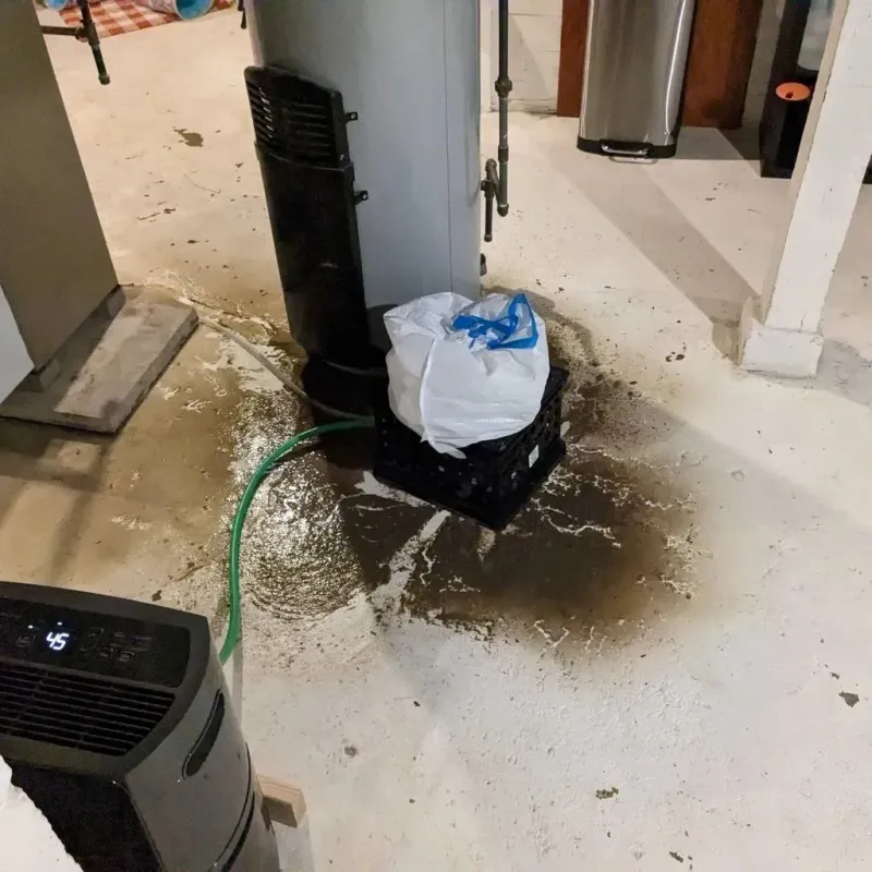 Sewage Backup Cleanup Service in Pinckneyville, IL